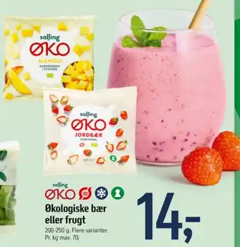 Føtex Økologiske bær eller frugt tilbud