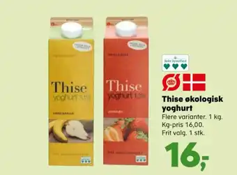 SuperBrugsen Thise økologisk yoghurt tilbud