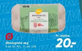 Bilka Økologiske æg tilbud