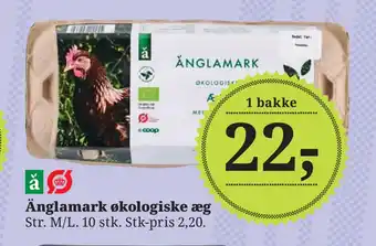 Dagli'Brugsen Änglamark økologiske æg tilbud