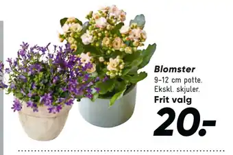 Bilka Blomster tilbud