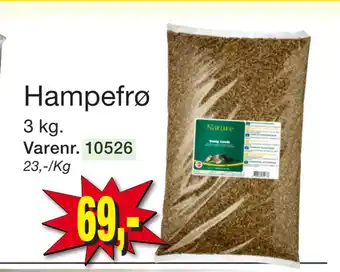 Harald Nyborg Hampefrø tilbud