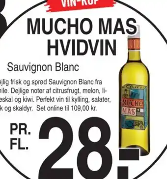 MUCHO MAS HVIDVIN