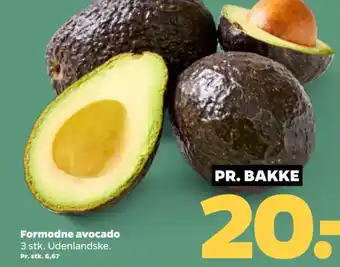 Netto Formodne avocado tilbud