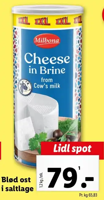 Lidl Blød ost i saltlage tilbud