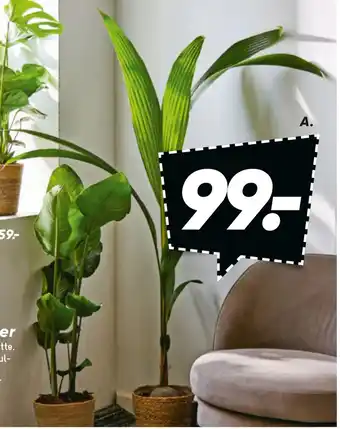 Bilka Grønne planter tilbud