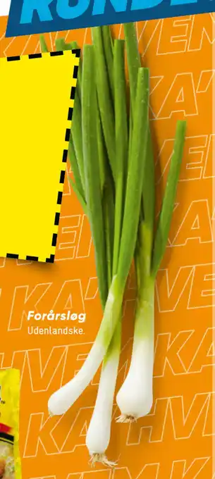 Bilka Forårsløg tilbud