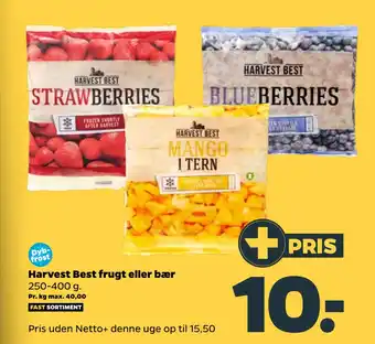 Netto Harvest best frugt eller bær tilbud