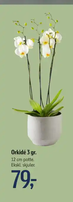 Føtex Orkidé 3 gr tilbud