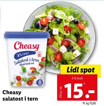 Lidl Cheasy salatost i tern tilbud