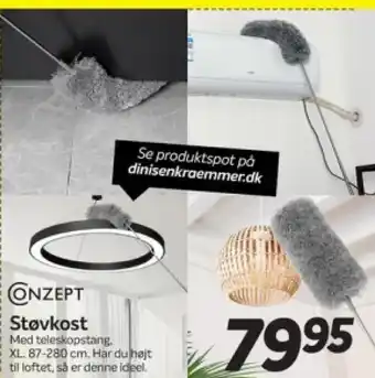 Støvkost