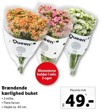 Lidl Brændende kærlighed buket tilbud