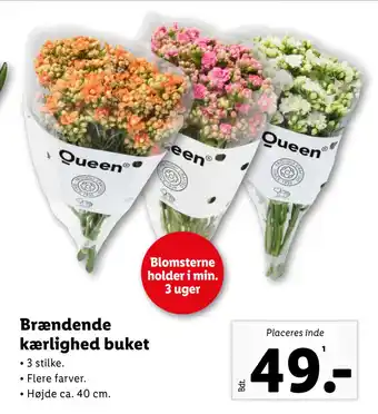 Lidl Brændende kærlighed buket tilbud