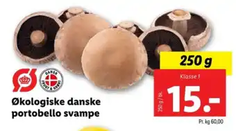 Økologiske danske portobello svampe
