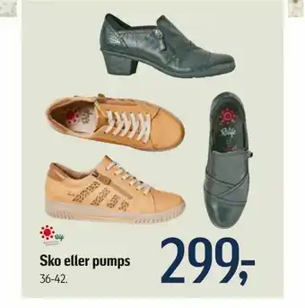 Føtex Sko eller pumps tilbud