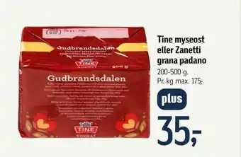Tine myseost eller Zanetti grana padano