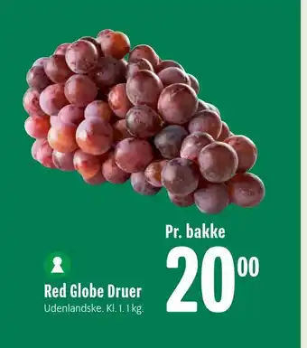 Red Globe Druer
