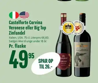 Castelforte Corvina Veronese eller Big Top Zinfandel