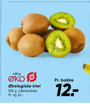 Bilka Økologiske kiwi tilbud