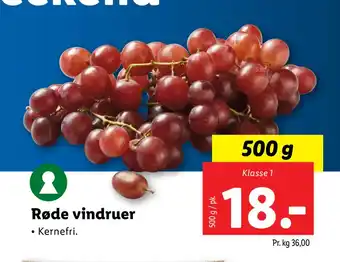 Lidl Røde vindruer tilbud