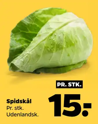 Netto Spidskål tilbud