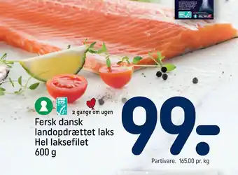REMA 1000 Fersk dansk landopdrættet laks hel laksefilet 600 g tilbud