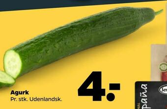 Netto Agurk tilbud