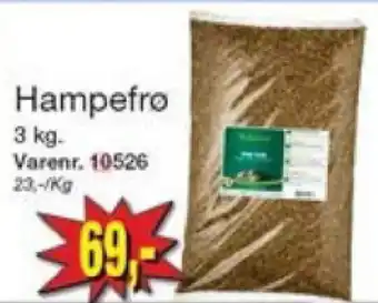 Hampefro