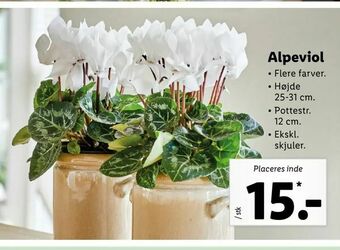 Alpeviol