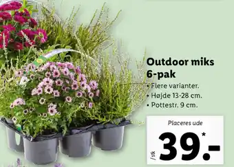 Lidl Outdoor Miks 6-Paks tilbud