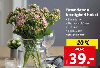 Lidl Brændende Kærlighed Buket tilbud