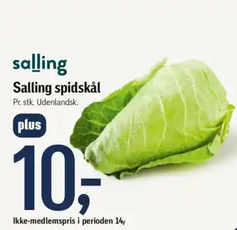 Føtex salling Salling spidskål tilbud