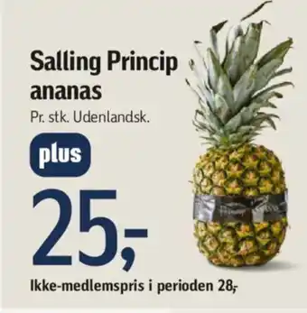 Føtex Salling Princip ananas tilbud