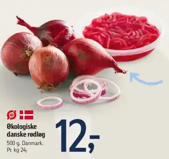 Økologiske danske rødløg