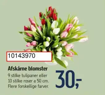 Føtex Afskårne blomster tilbud