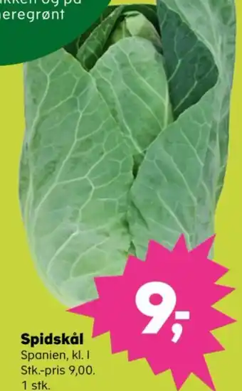 Kvickly Spidskål tilbud