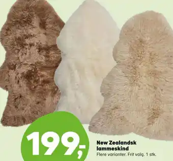Kvickly New Zealandsk lammeskind tilbud