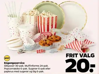 Netto Engangsservice tilbud