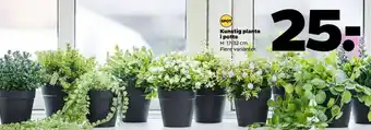 Netto Kunstig plante i potte tilbud