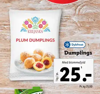 Lidl Dumplings tilbud