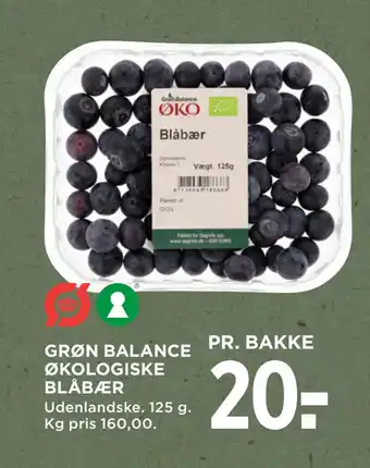 MENY Grøn balance økologiske blåbær tilbud