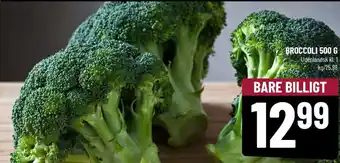 Løvbjerg BROCCOLI 500 G tilbud