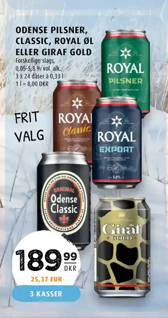 Scandinavian Park Odense pilsner, classic, royal øl eller giraf gold tilbud