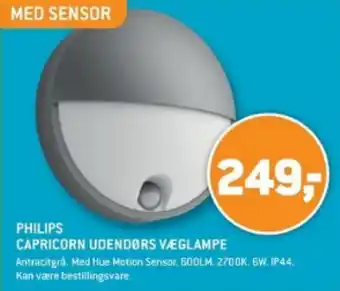 XL-BYG PHILIPS CAPRICORN UDENDØRS VÆGLAMPE tilbud