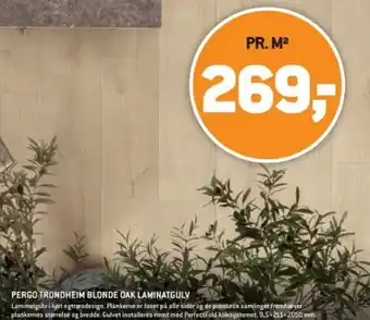 XL-BYG PERGO TRONDHEIM BLONDE DAK LAMINATGULV tilbud