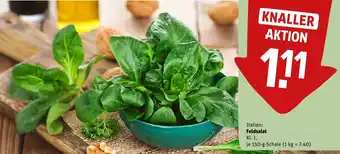 Feldsalat