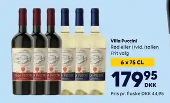 BorderShop Villa puccini tilbud