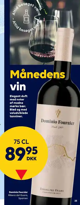 Dominio fournier