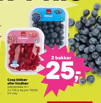 Kvickly Coop blåbær eller hindbær tilbud