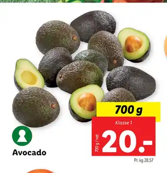 Lidl Avocado tilbud